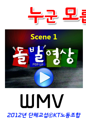 Media Player 보기